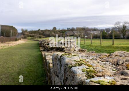 Heddon sur le mur, Angleterre: 8th Fév 2022: Mur d'Hadrien (pas de gens) dans le nord-est de l'Angleterre, par une belle journée d'hiver Banque D'Images