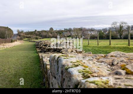 Heddon sur le mur, Angleterre: 8th Fév 2022: Mur d'Hadrien (pas de gens) dans le nord-est de l'Angleterre, par une belle journée d'hiver Banque D'Images