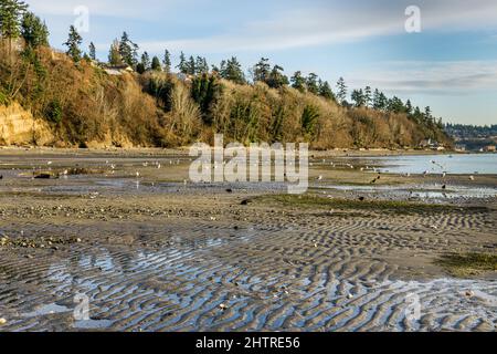 Le rivage du parc national d'eau salée de des Moines, Washington. Banque D'Images