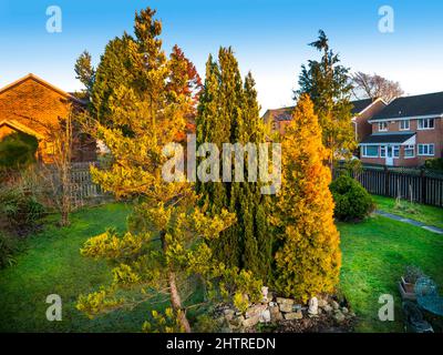 Burnley Garden au début du printemps dans le nord de l'Angleterre Banque D'Images