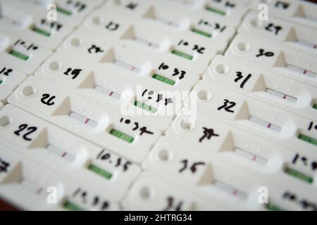 Kit de test rapide d'antigène ATK avec groupe de personnes résultat négatif pendant l'écouvillon pour la rentrée, le travail de bureau, l'université COVID-19 tests. Banque D'Images