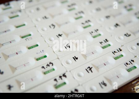 Kit de test rapide d'antigène ATK avec groupe de personnes résultat négatif pendant l'écouvillon pour la rentrée, le travail de bureau, l'université COVID-19 tests. Banque D'Images