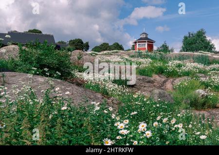 Chalet en bois avec Shasta Daisies Banque D'Images