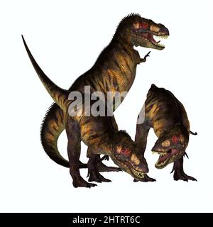 Tyrannosaurus rex était un dinosaure théropode carnivore qui vivait en Amérique du Nord pendant la période du Crétacé. Banque D'Images