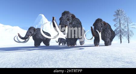 Un troupeau de mammouths de Woolly traverse la neige gelée pour atteindre un climat plus chaud. Banque D'Images