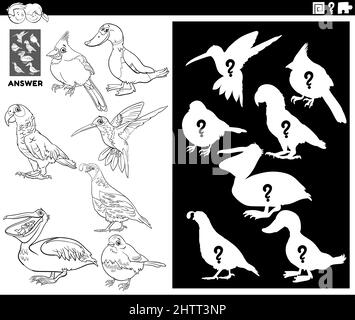 Dessin animé noir et blanc des images de match et la forme ou la silhouette droite avec des oiseaux personnages animaux jeu éducatif pour les enfants co Illustration de Vecteur