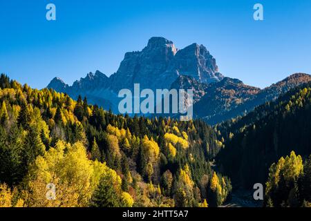 Forêts colorées de larches et de pins, sommets et rochers de Monte Pelmo au loin. Banque D'Images