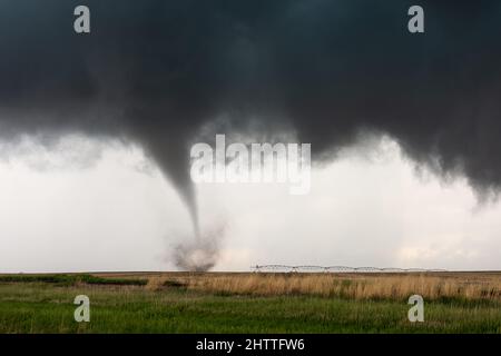 L'entonnoir de la tornade se touchant dans une tempête près de Selden, Kansas, États-Unis Banque D'Images