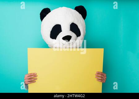 Homme portant un masque de panda homme tenant un écriteau blanc jaune isolé sur fond bleu Banque D'Images