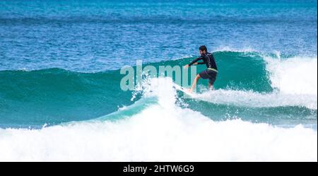 Homme surfant dans l'océan, essayant de prendre une vague. Banque D'Images