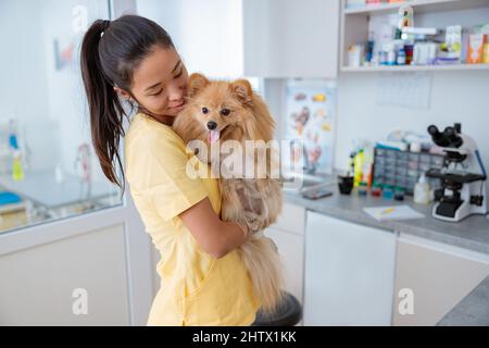 Jeune femme vétérinaire prenant soin de chien en clinique Banque D'Images