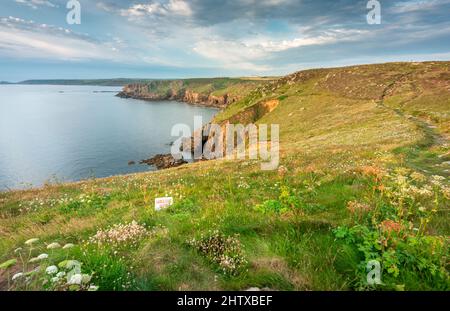 Beau temps d'été, falaises baignées de lumière chaude du soleil couchant, falaises couvertes d'herbe et de fleurs sauvages, destination touristique populaire pour les hikin Banque D'Images