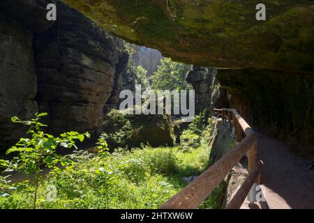 Galerie et rochers dans la vallée de Kamenice, rivière Kamenice, Kamnitz, Hrensko, Herrnskretschen, Okres Decin, Ustecky kraj, Suisse de Bohême Banque D'Images