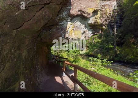 Galerie et rochers dans la vallée de Kamenice, rivière Kamenice, Kamnitz, Hrensko, Herrnskretschen, Okres Decin, Ustecky kraj, Suisse de Bohême Banque D'Images