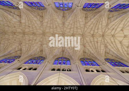 Plafond voûté, vieille cathédrale Saint Patrick ou vieille cathédrale Saint Patrick, Lower Manhattan, New York, États-Unis Banque D'Images