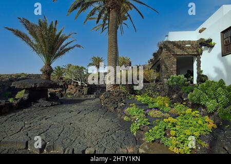 Jameos del Agua, complexe de jardins conçu par Cesar Manrique, Lanzarote, Iles Canaries, Espagne, Lanzarote, Îles Canaries, Espagne Banque D'Images