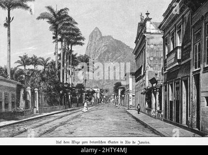 Jardin botanique, tropiques, rue, sentier, palmiers, Maisons, style colonial, personnes, montagne, illustration historique de 1897, Rio de Janeiro Banque D'Images