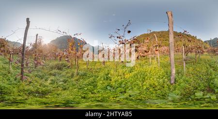 Vue panoramique à 360° de Vignoble avec raisin en automne dans les montagnes beau fond. Image avec 3D panorama sphérique avec un angle de vue de 360 degrés. Prêt pour la virtualisation