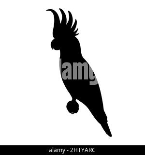 Silhouette d'un perroquet de cafatoo. Illustration vectorielle d'une silhouette noire d'un perroquet de cacatoès isolé sur un fond blanc. Logo, vue latérale. Illustration de Vecteur