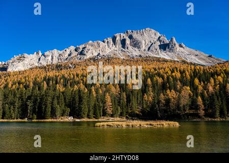 La formation rocheuse Cadini di Misurina, vue sur le lac Misurina, entourée de larches colorées et de pins en automne. Banque D'Images