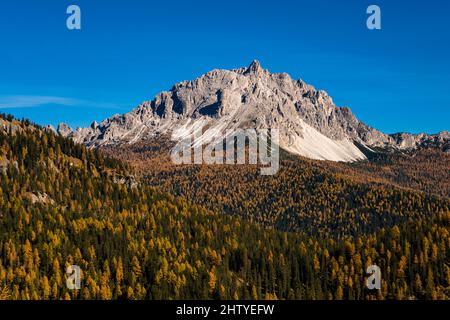 La formation rocheuse Cadini di Misurina, vue du lac Sorapiss, entourée de larches colorées et de pins en automne. Banque D'Images