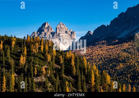 La formation rocheuse Tre cime di Lavaredo, vue depuis le lac Sorapiss, entourée de larches colorées et de pins en automne. Banque D'Images