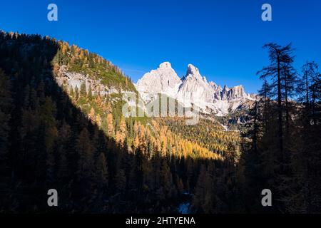 La formation rocheuse Monte Cristallo, vue du sud-est, entourée de larches colorées et de pins en automne. Banque D'Images