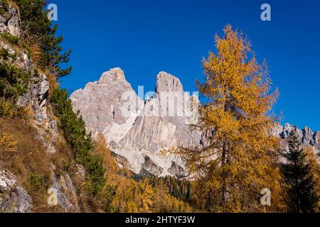 La formation rocheuse Monte Cristallo, vue du sud-est, entourée de larches colorées et de pins en automne. Banque D'Images