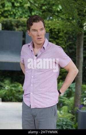 Benoît Cumberbatch au Chelsea Flower Show 2014 Banque D'Images