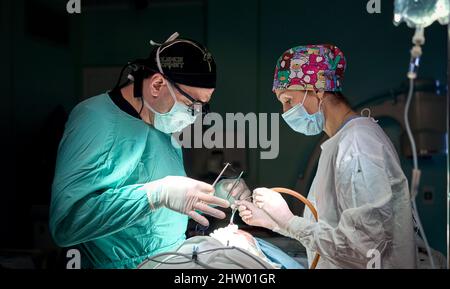 Dans la salle d'opération de l'hôpital. Une équipe internationale de chirurgiens et d'assistants professionnels travaille dans une salle d'opération moderne. Médecins professionnels c Banque D'Images