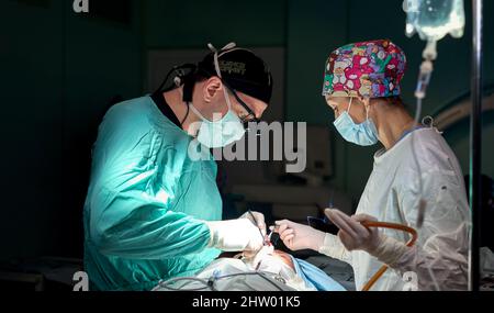 Dans la salle d'opération de l'hôpital. Une équipe internationale de chirurgiens et d'assistants professionnels travaille dans une salle d'opération moderne. Médecins professionnels c Banque D'Images