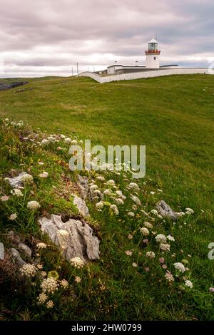 Phare sur la prairie verte de la côte du Donegal, Irlande. Banque D'Images