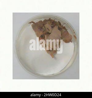 Art inspiré par des fragments de Papyri, 7th siècle, fait à Thèbes, Égypte byzantine, copte, Papyrus et encre, stockage (boîte de Petri) : 1 13/16 po. (4,6 cm), Papyrus, oeuvres classiques modernisées par Artotop avec une touche de modernité. Formes, couleur et valeur, impact visuel accrocheur sur l'art émotions par la liberté d'œuvres d'art d'une manière contemporaine. Un message intemporel qui cherche une nouvelle direction créative. Artistes qui se tournent vers le support numérique et créent le NFT Artotop Banque D'Images