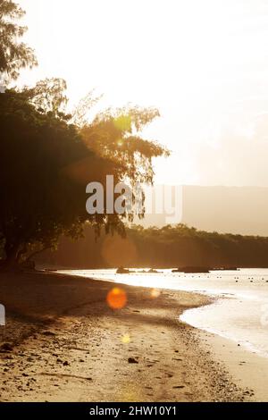 Soleil sur une plage baignée par l'eau de l'océan Indien à Flic an Flac à Maurice. La baie de Tamarin s'est lavée contre la rive sablonneuse. Banque D'Images