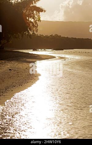Le matin, il y a des rayons du soleil sur une plage baignée par l'eau de l'océan Indien à Flic an Flac, à l'île Maurice. La baie de Tamarin se lave contre la rive sablonneuse. Banque D'Images