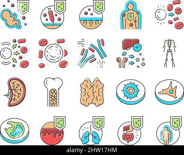 Système immunitaire maladie et traiter icônes vecteur . Illustration de Vecteur