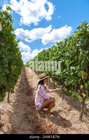 Paysage de vignoble au coucher du soleil avec des montagnes à Stellenbosch, près du Cap, Afrique du Sud. Raisins de vin sur la vigne dans le vignoble, femme en Vineyar Banque D'Images