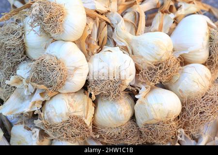 France, Bouches du Rhône, Trets, ail biologique sur le marché Banque D'Images