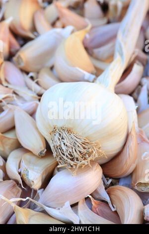 France, Bouches du Rhône, Trets, ail biologique sur le marché Banque D'Images