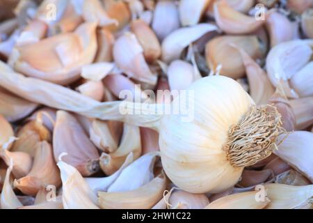 France, Bouches du Rhône, Trets, ail biologique sur le marché Banque D'Images