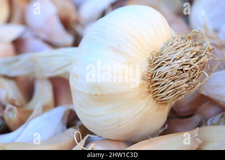 France, Bouches du Rhône, Trets, ail biologique sur le marché Banque D'Images