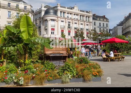 France, Maire-et-Loire, vallée de la Loire classée au patrimoine mondial de l'UNESCO, Angers, jardin éphémère lieu de ralliement Banque D'Images