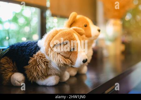 Une jolie poupée de chiens blancs et bruns s'assoit sur le comptoir près d'une grande fenêtre en verre dans le café. Belle décoration de jouets animaux dans le café. Magnifiques chiens de poupée dans br Banque D'Images