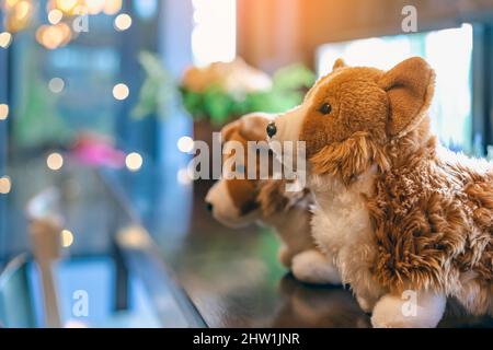 Une jolie poupée de chiens blancs et bruns s'assoit sur le comptoir près d'une grande fenêtre en verre dans le café. Belle décoration de jouets animaux dans le café. Magnifiques chiens de poupée dans br Banque D'Images
