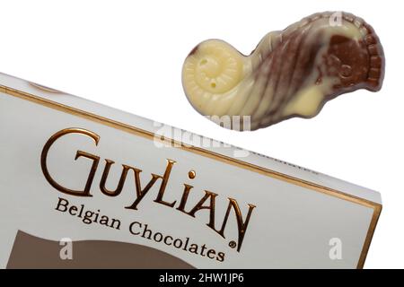 Chocolats belges Guylian coquillages mouettes de chocolat avec boîte sur fond blanc - meilleurs chocolats belges avec garniture en praline noisette Banque D'Images