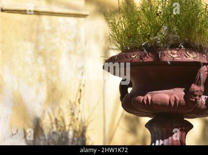 Maison néoclassique ancienne maison faite à la main argile de terre cuite antique avec une plante contre un mur de stuc ocre abîmé à Nafplio, Grèce. Banque D'Images