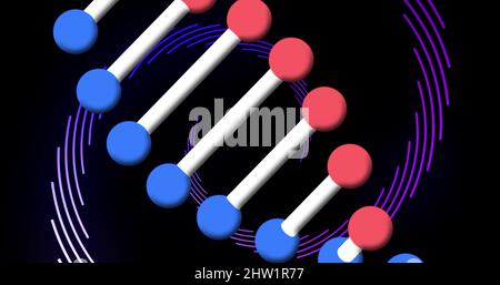 Image numérique de la rotation de la structure de l'adn et des traînées de lumière sur fond noir Banque D'Images