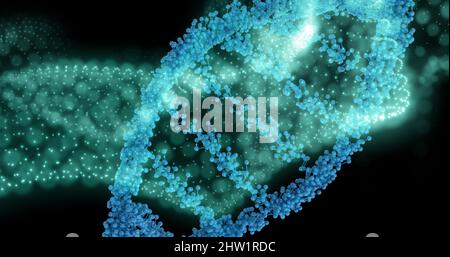 Image numérique de la structure de l'adn qui tourne contre l'onde numérique sur fond noir Banque D'Images