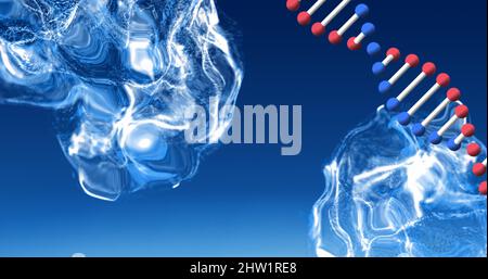 Image numérique de la structure de l'adn qui tourne contre l'onde numérique sur fond bleu Banque D'Images