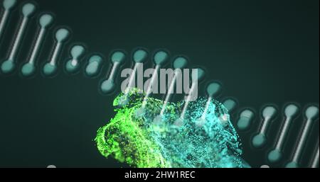 Image numérique de la structure de l'adn qui tourne contre l'onde numérique sur fond vert Banque D'Images